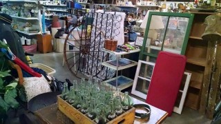 bridgeportflea1