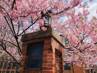 Franklin Square Pillar