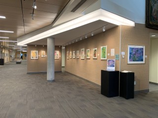 Wilson Art Gallery