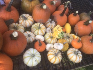 Seasonal