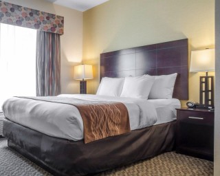 Comfort Suites Cicero – Syracuse North Guest Room