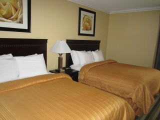 2 Queen Beds