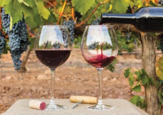 Niagara Wine Trail
