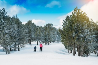 ski areas of new york