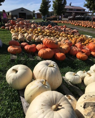 Seasonal
